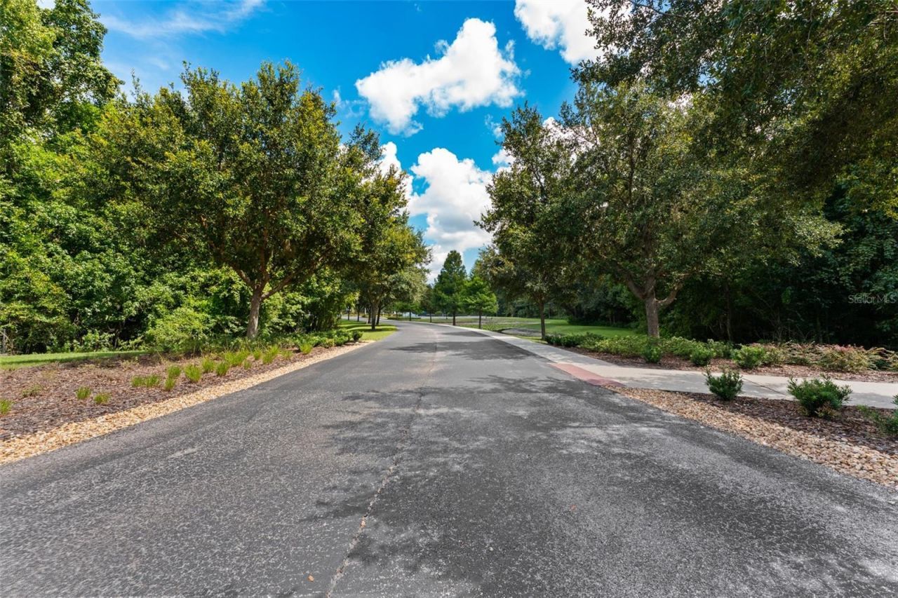 17901 Howsmoor Place, Lutz, FL 33559 Photo