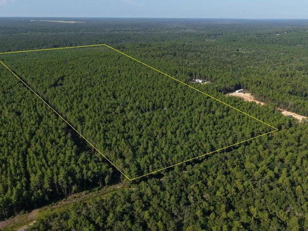 A Trawick Creek Road , Holt, FL 32564