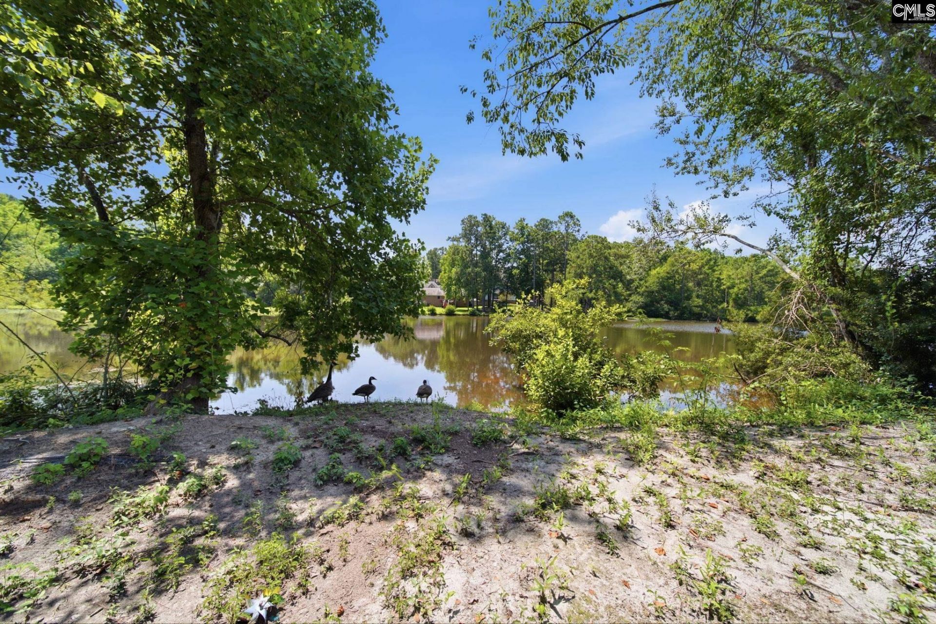 201 Sheridan Drive  Photo 25