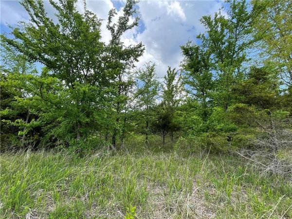 Posy Mountain Drive Lot 319 Drive , Garfield, AR 72732