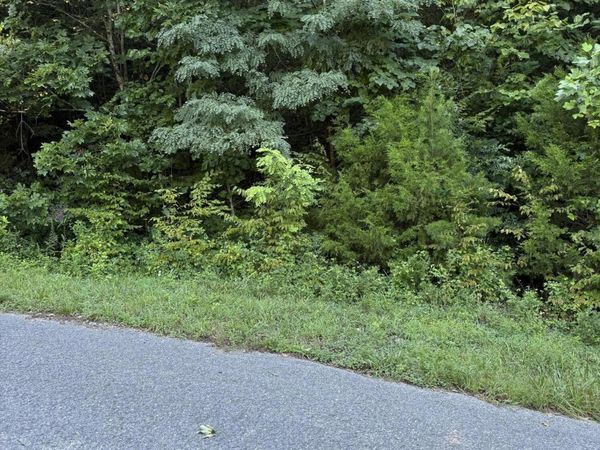 Larayne Hollow Rd, Sharps Chapel, TN 37866