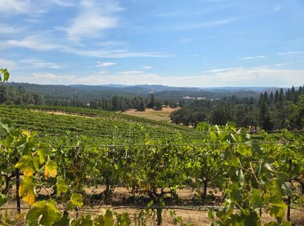4180 Pleasant Valley Road, Placerville, CA 95667 Photo