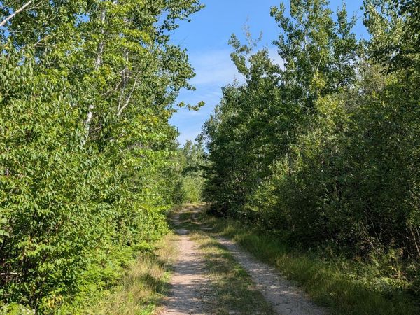 TBD Kennedy Road, Cook, MN 55723