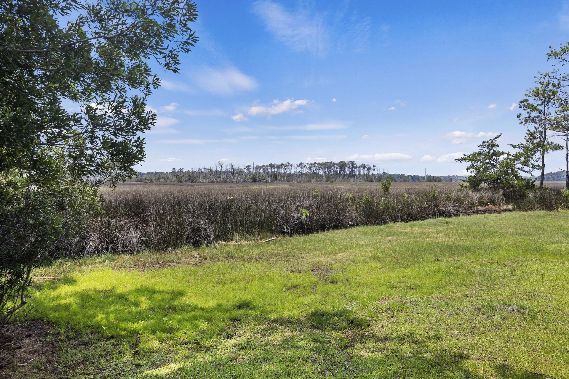 2441 Rushland Landing Road Photo 5