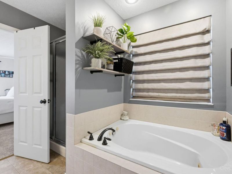 225 George Lewis Court, Harrison, OH 45030 Photo 18