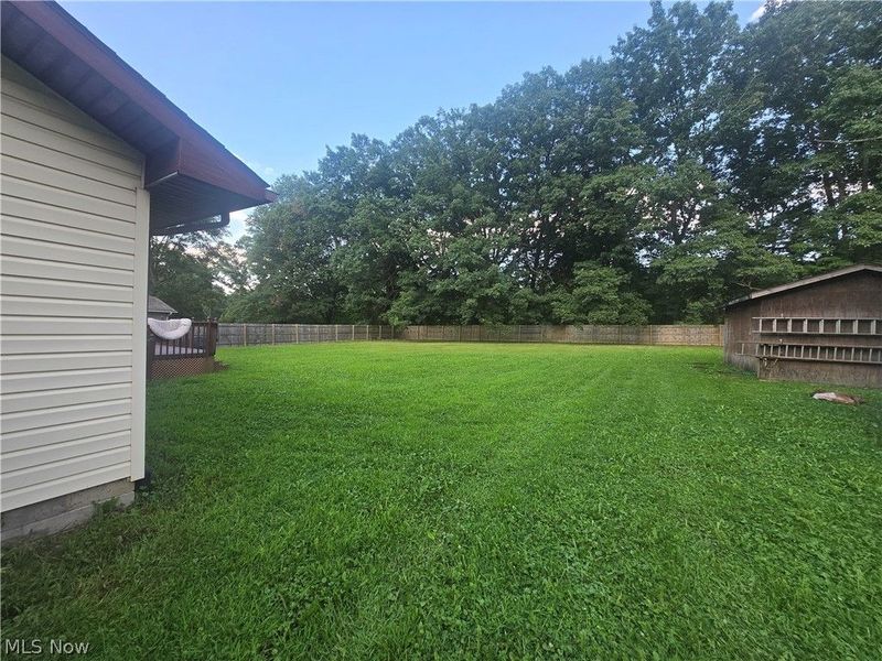 1185 Ellsworth Bailey Road SW, Lordstown, OH 44481 Photo 3