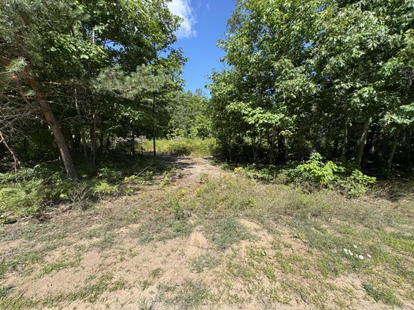 TBD Daisys WAY, Kinross, MI 49752