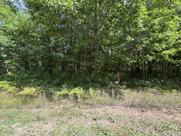 0 Deer Run RD, Kinross, MI 49752