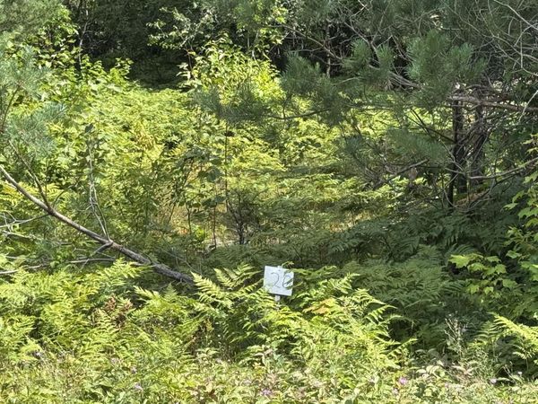 0 Daisys WAY, Kinross, MI 49752