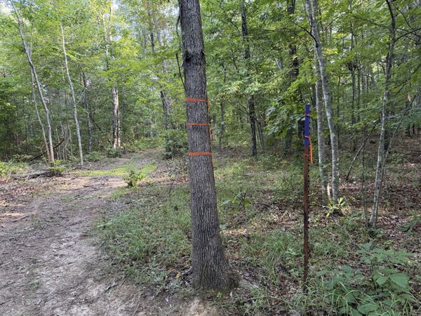 2603 Northcutts Cove Road , Beersheba Springs, TN 37305