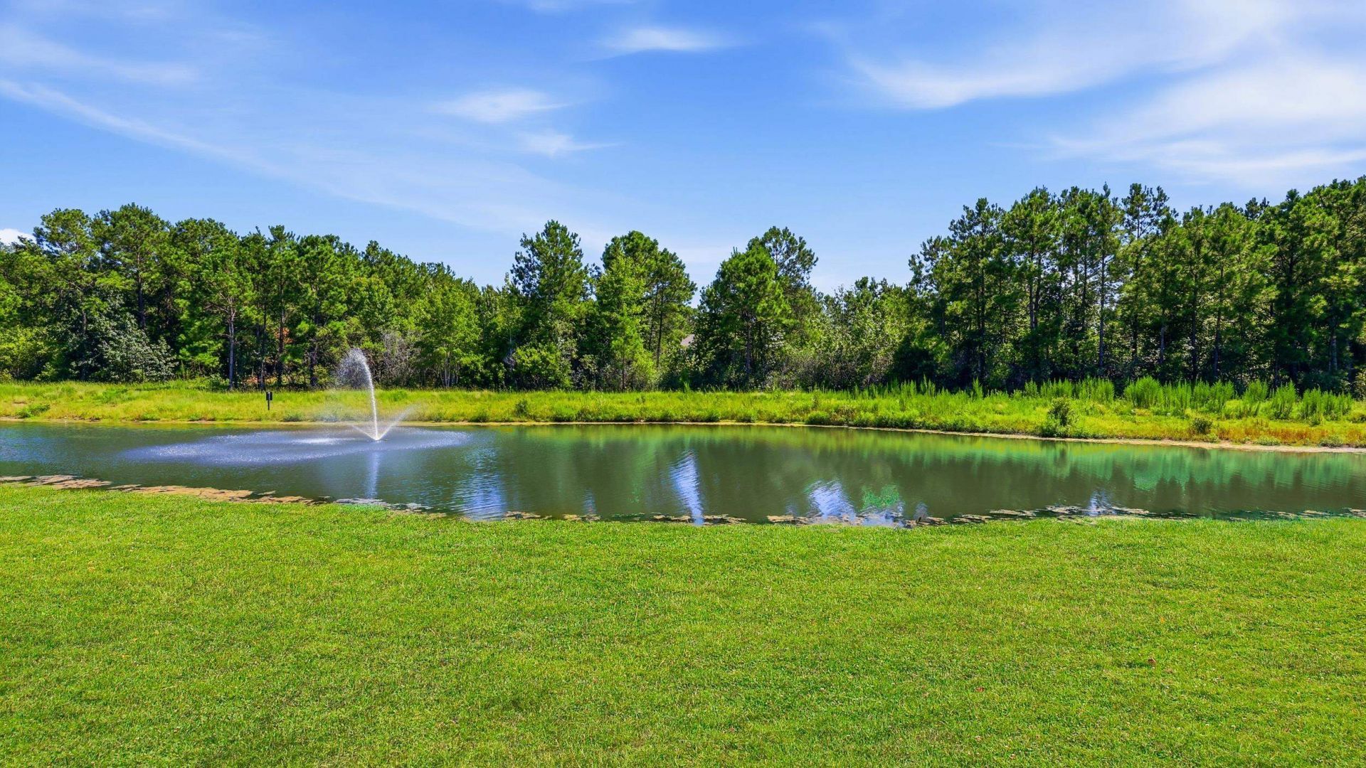 285 Calhoun Falls Dr. Photo 43