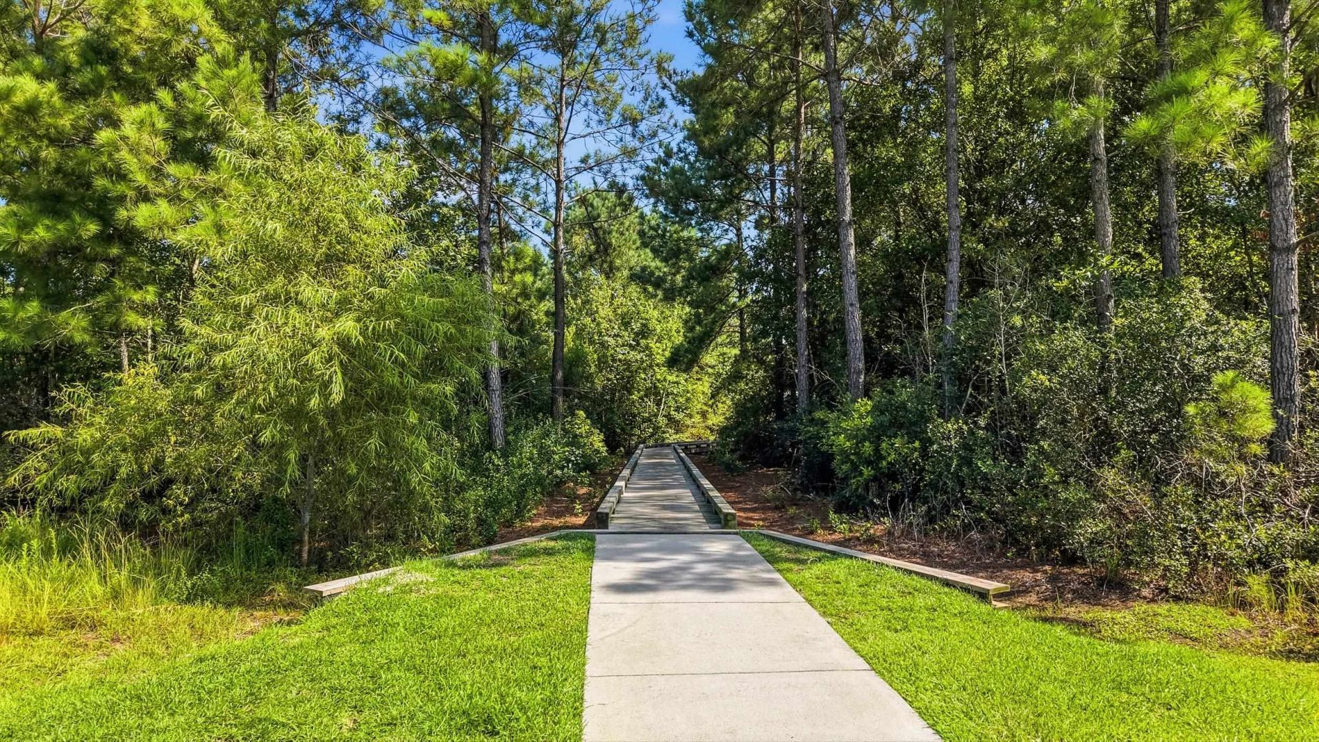 285 Calhoun Falls Dr. Photo 52