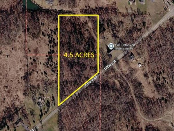 0 V/L Tiffany Street, Brooklyn, MI 49230