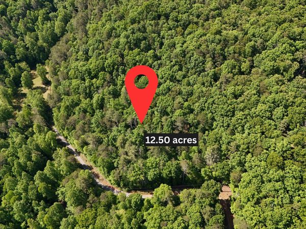 0 Gold Springs Road, Cherry Log, GA 30522