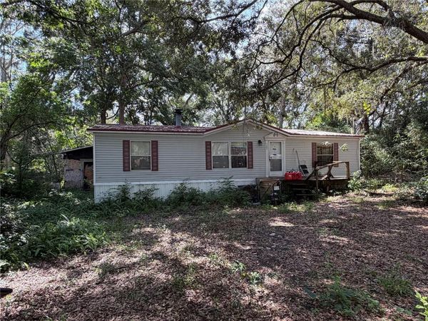 45901 MICHIGAN ROAD , ALTOONA, FL 32702