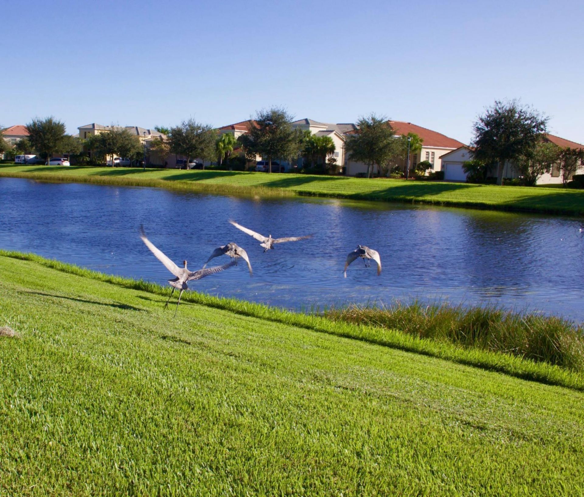 10786 SW Winding Lakes Circle, Port Saint Lucie, FL 34987 Photo