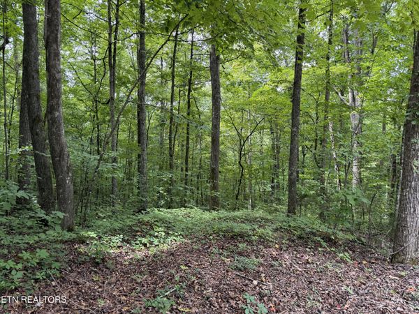 Lot 36 Bass Haven Drive, Sharps Chapel, TN 37866