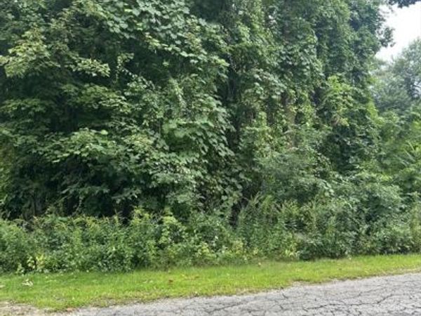 56 Birch Hill Rd, Douglas, MA 01516