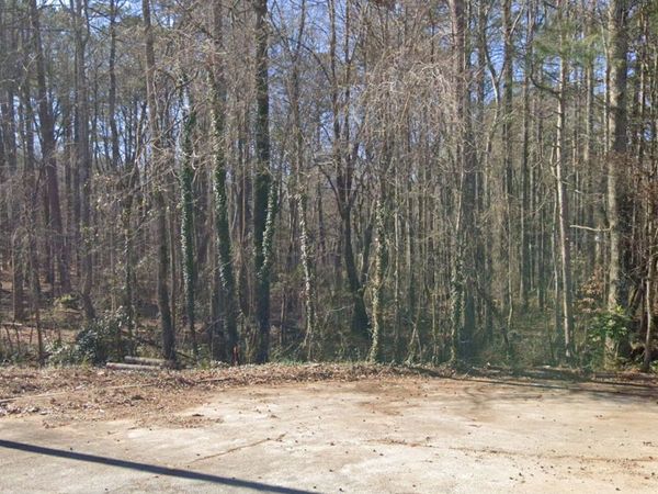 4195 Stephanie Circle SE, Conyers, GA 30013