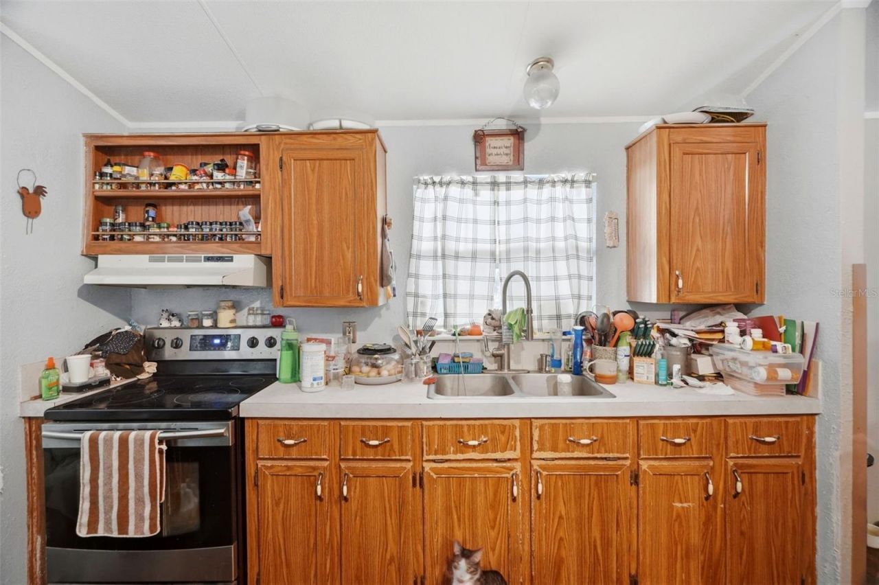 1710 E Ray Street, Hernando, FL 34442 Photo