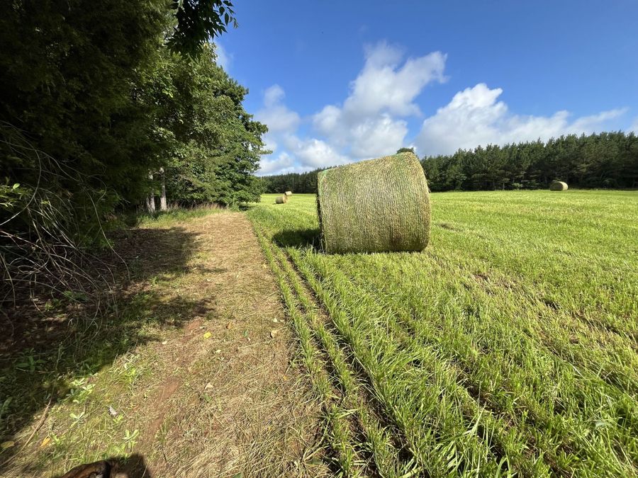 Property Image 57