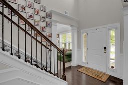 69 Palmetto Palm Ct  photo 4