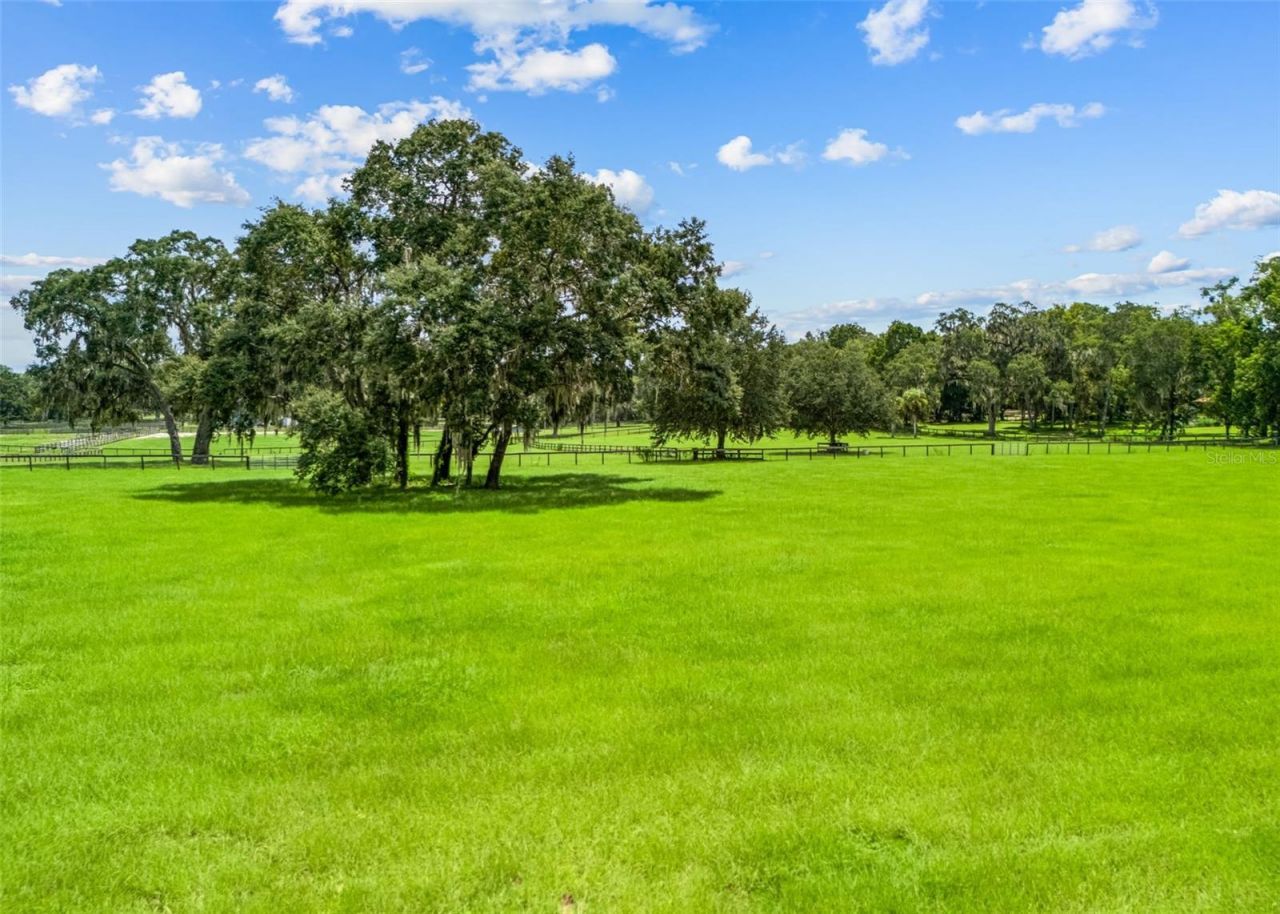 402 SW 127th Place, Ocala, FL 34473 Photo