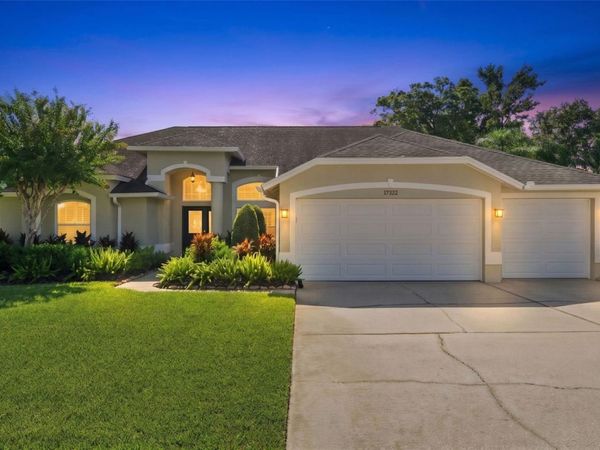 17322 HUBERS COURT , ODESSA, FL 33556