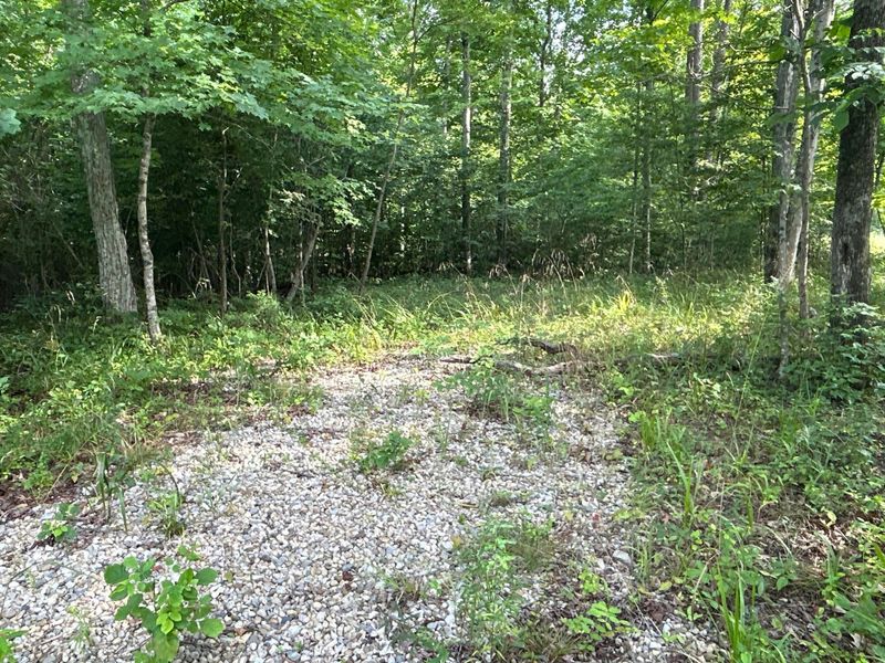 45690 Cox Road, Waverly, OH 45690 Photo 14