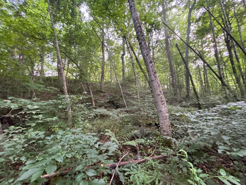 45690 Cox Road, Waverly, OH 45690 Photo 34