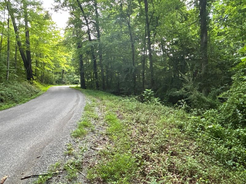 45690 Cox Road, Waverly, OH 45690 Photo 35