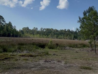 Duck Pond Road , Gaston, SC 29053
