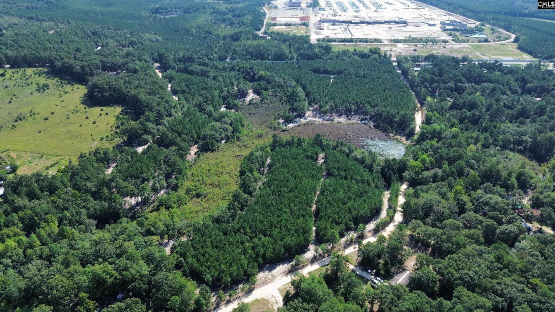 Duck Pond Road Photo 10