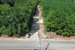 Duck Pond Road photo 4