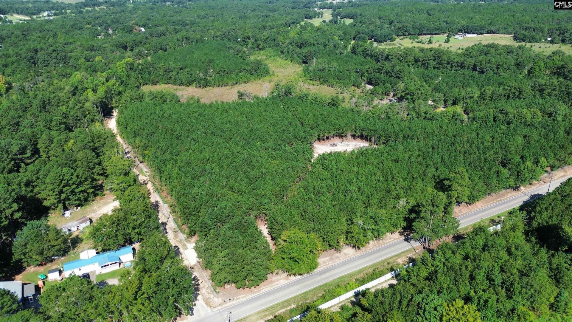 Duck Pond Road Photo 4