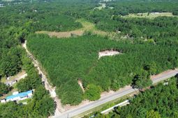 Duck Pond Road photo 4