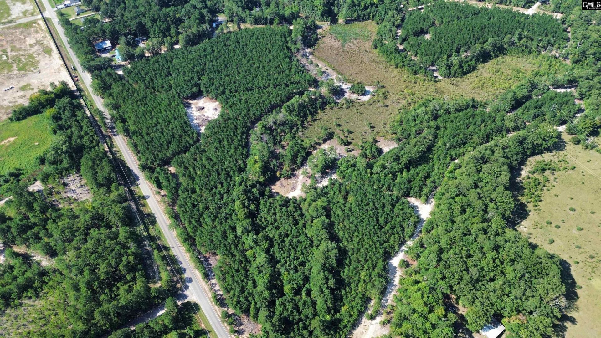 Duck Pond Road Photo 5