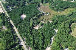 Duck Pond Road photo 4
