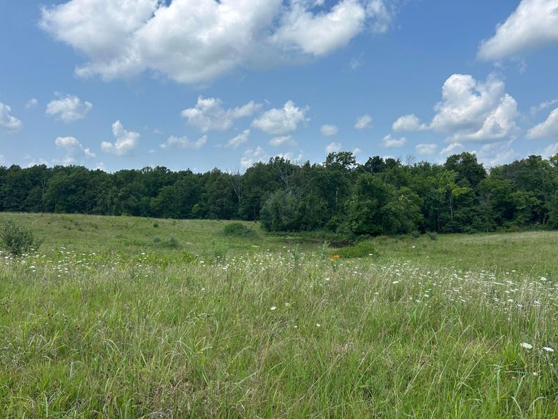 0 Mount Olive Road, South Salem, OH 45681 Photo 33