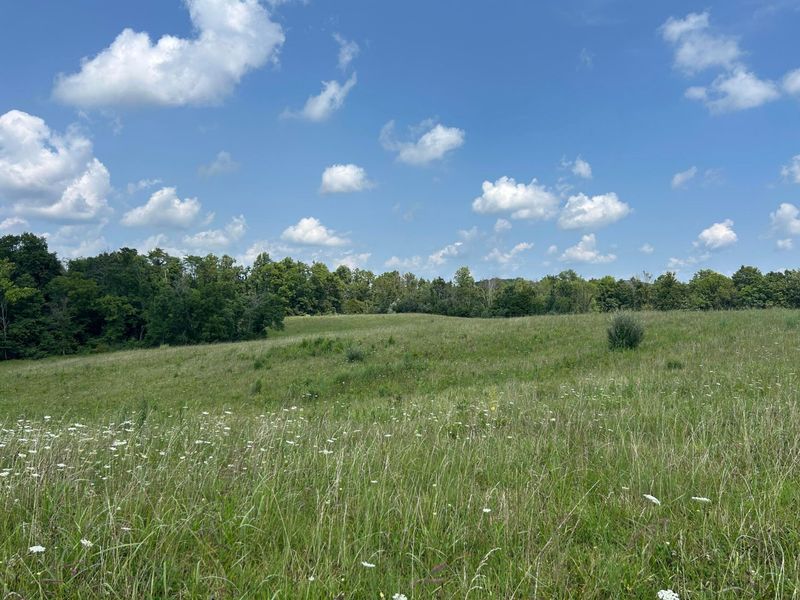 0 Mount Olive Road, South Salem, OH 45681 Photo 34