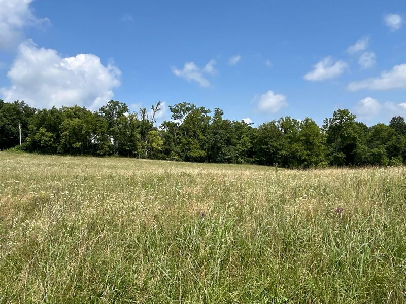 0 Mount Olive Road, South Salem, OH 45681 Photo 39