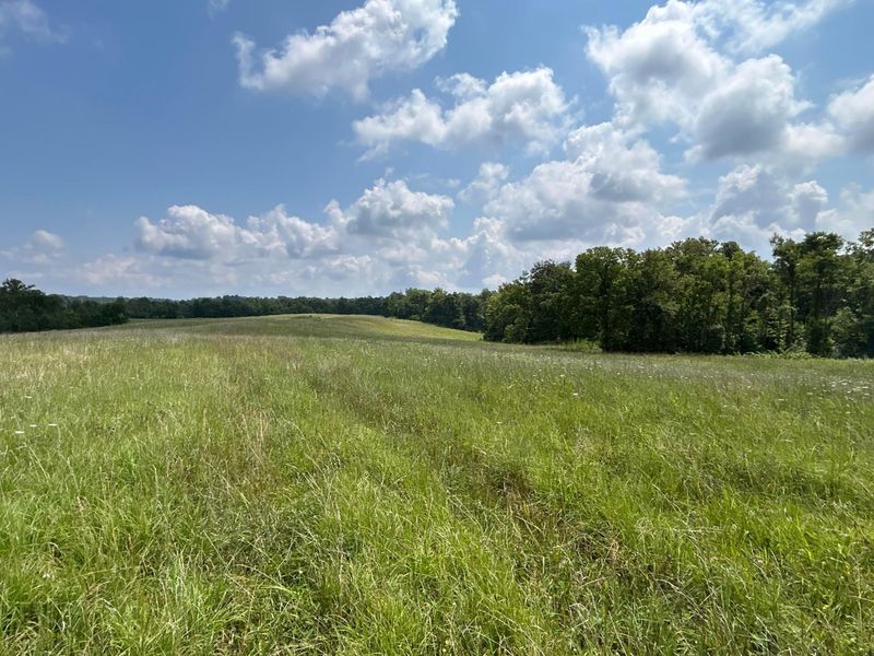 0 Mount Olive Road, South Salem, OH 45681 Photo 42