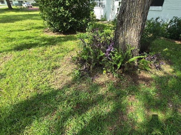 3501 NW 17 TERRACE, GAINESVILLE, FL 32605