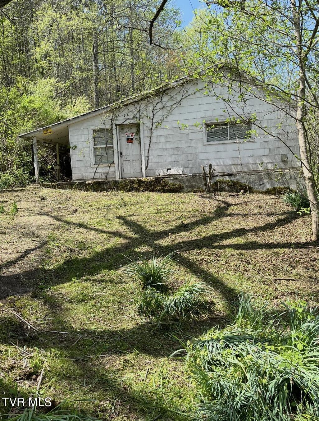 272 Ann Goode Cooper Road, Hiltons, VA 24258 Main Photo
