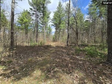 13612 Lewisburg Road, Natural Bridge, NY 13665