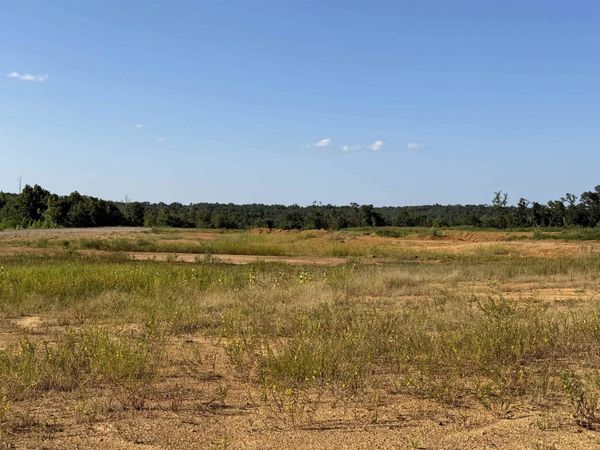 0 APPLE TREE LN, Crump, TN 38327