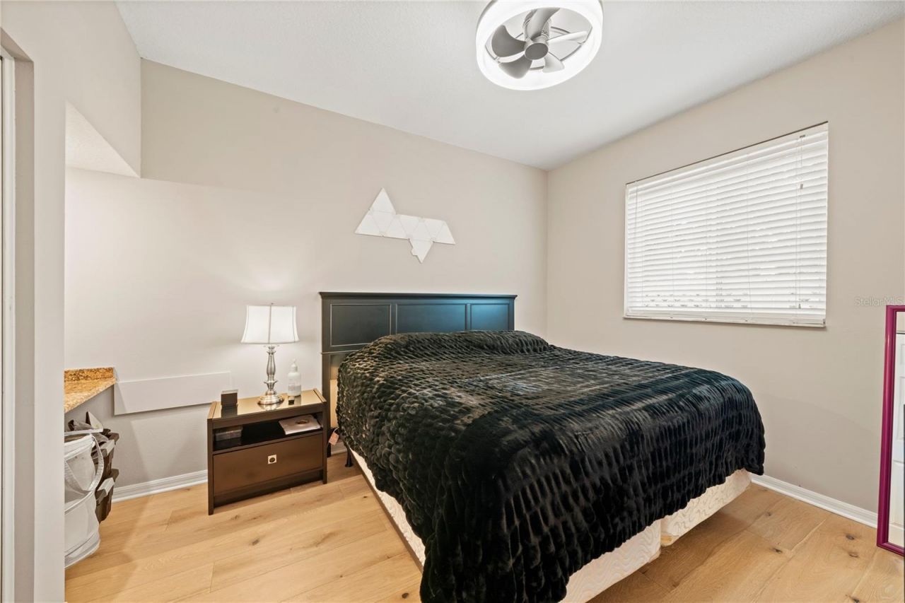 2805 Berwick Drive, Tarpon Springs, FL 34688 Photo