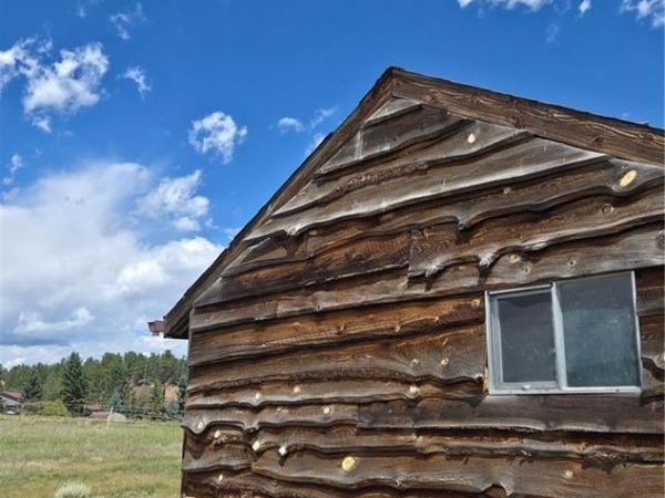 99 Uintah Ridge Road, Florissant, CO 80816
