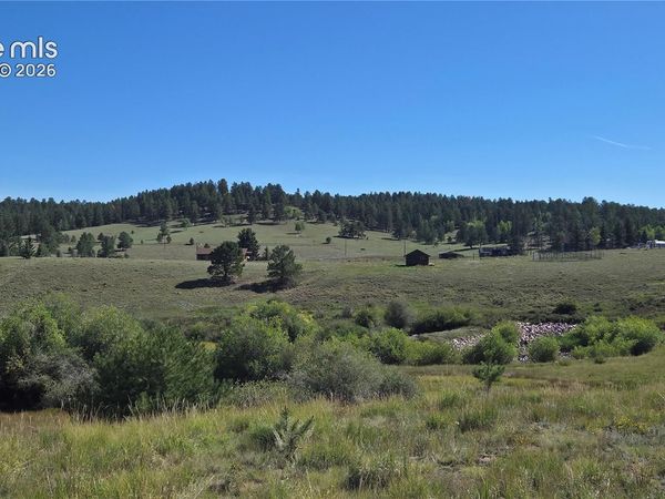 99 Uintah Ridge Road, Florissant, CO 80816