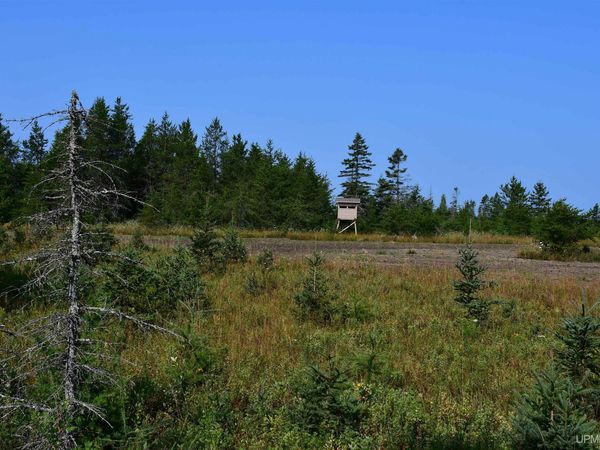 7618 CR 511 (Y.5) Road, Bay De Noc Twp, MI 49878